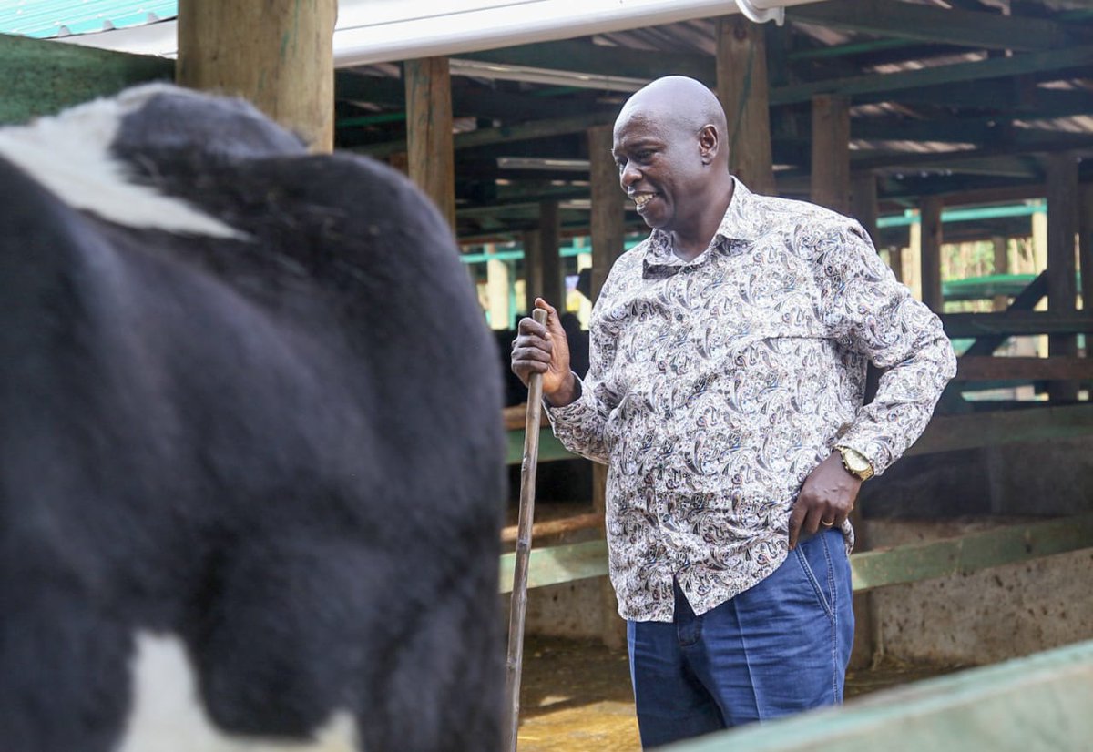 rigathi's tweet photo. On the sidelines of the engagement Speakers and Members of County Assemblies from Central Kenya, I took some time off, together with my Spouse Pastor Dorcas, to  check on our cows and inspect the dairy farming project at my home in Iruri Village, Mathira. https://t.co/DPgP9zq1Lk