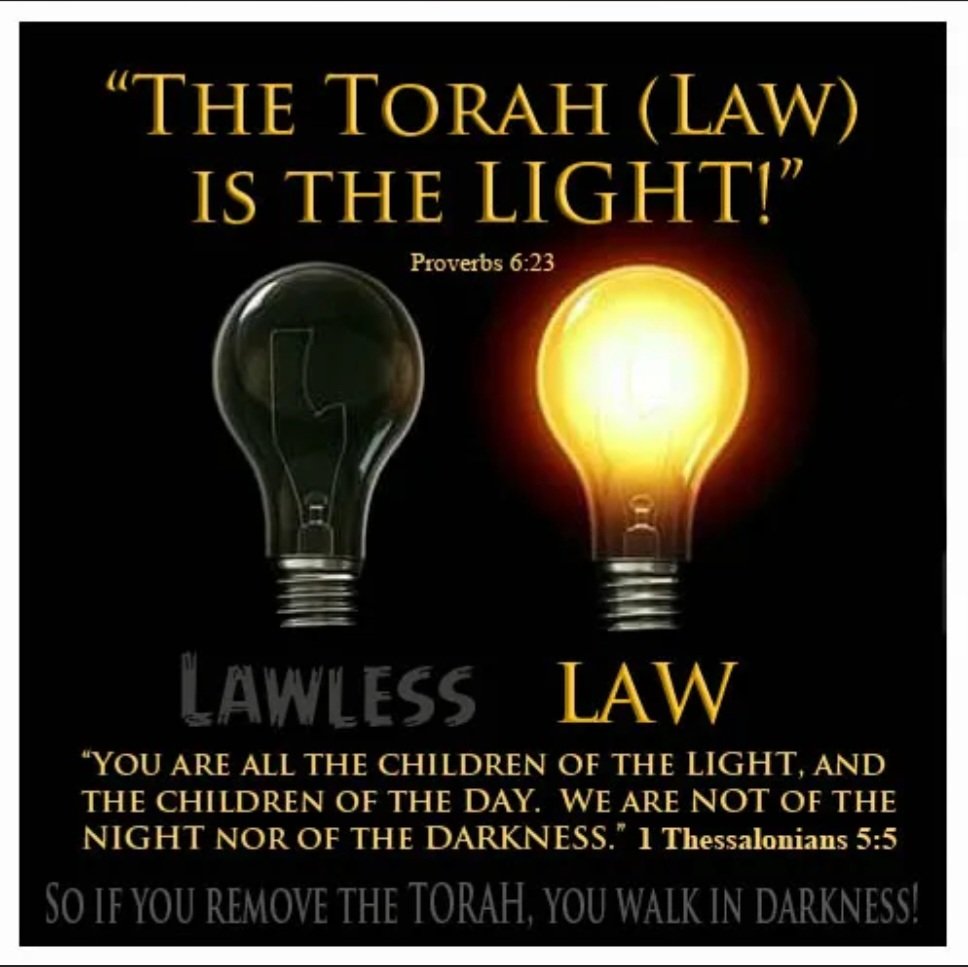 FieryFaith144's tweet image. Walk in obedience! Flip that light switch on and walk in the light ! #torahislight #obedience #wordmadeflesh