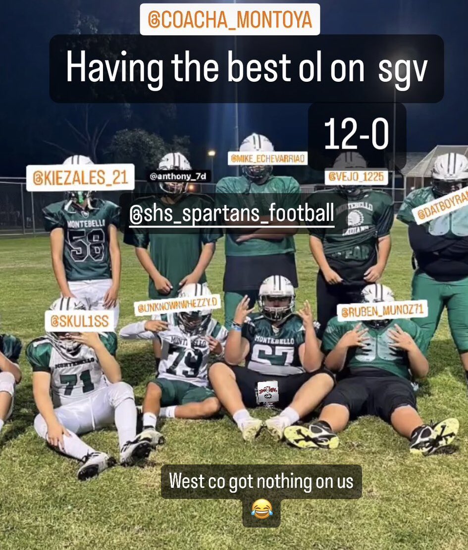 Mark the Shark tweet media