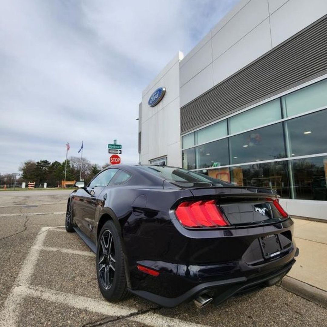 Are you ready to feel the power of the Mustang? From the sleek lines of its body to the roar of its engine, the Mustang is a driving experience unlike any other. When are you joining the Mustang family?🤩💪

#feelthepower #builtfordtough #mustang #mustangfamily #jointhecrew