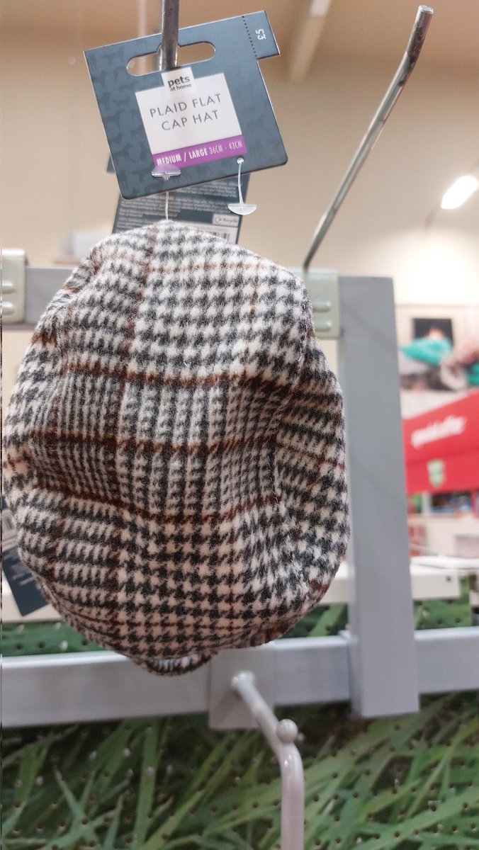 The ultimate #flatcap accessory for all @thehotpots fans' 🐕 🐕