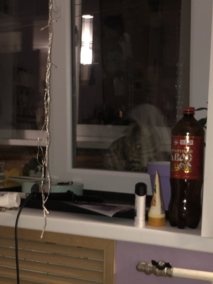 screpkka's tweet photo. сижу я переодеваюсь, поворачиваю голову А ТАМ БЛЯТЬ

я обосралась, друзья https://t.co/IGmnql7oqG