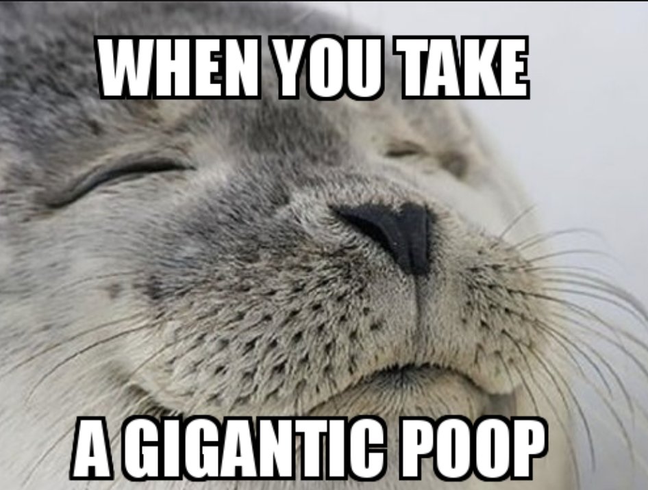 Interact with this post and we might drop some $POOP on you.

The mother of all MEME is here $POOP

$PEPE, $DED, $FADE, $MEMEME cant fight when you have to POOP$

$POOP is the king.