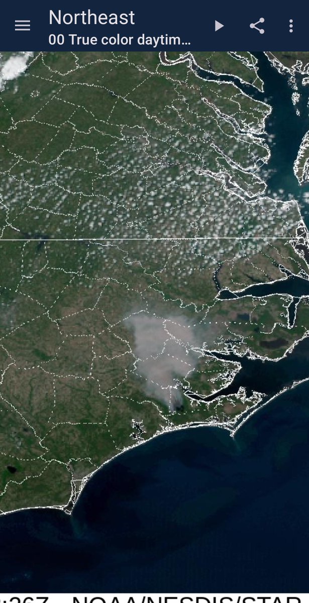 unleashedff295's tweet photo. Huge #wildfire (for the east) ripping through Croatan NF in NC. Putting up a lot of smoke. I believe they have the pine barrens fuel type there as well. Over 4,000ac and 0% containment. Might be a monitor for resource management objectives strategy. #fire #NorthCarolina #croatan https://t.co/6nXUVv03XH