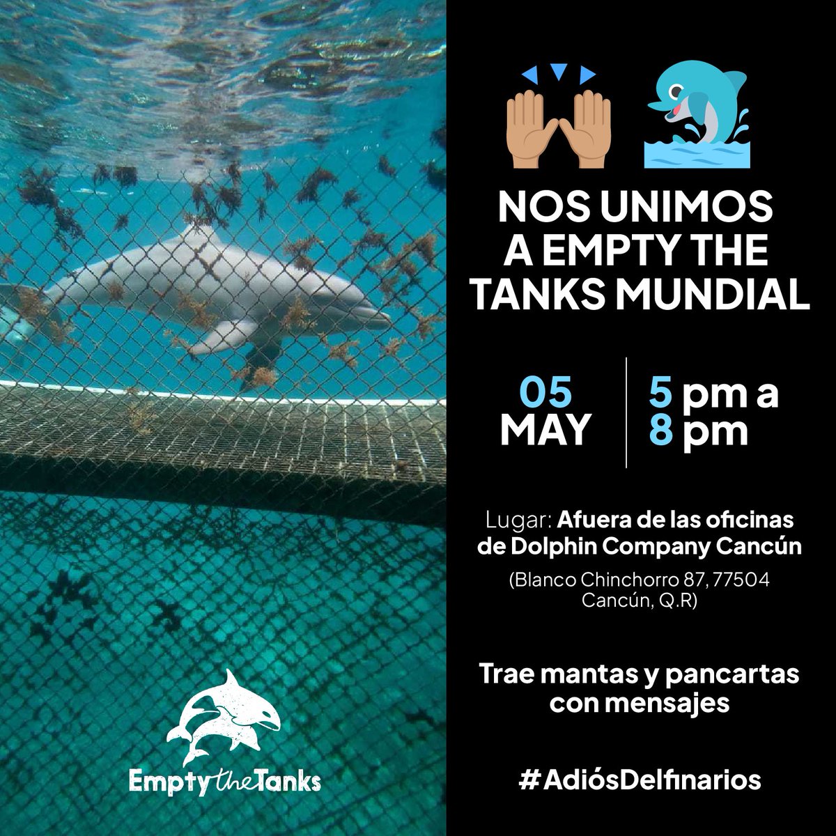 Empty the Tanks México tweet media