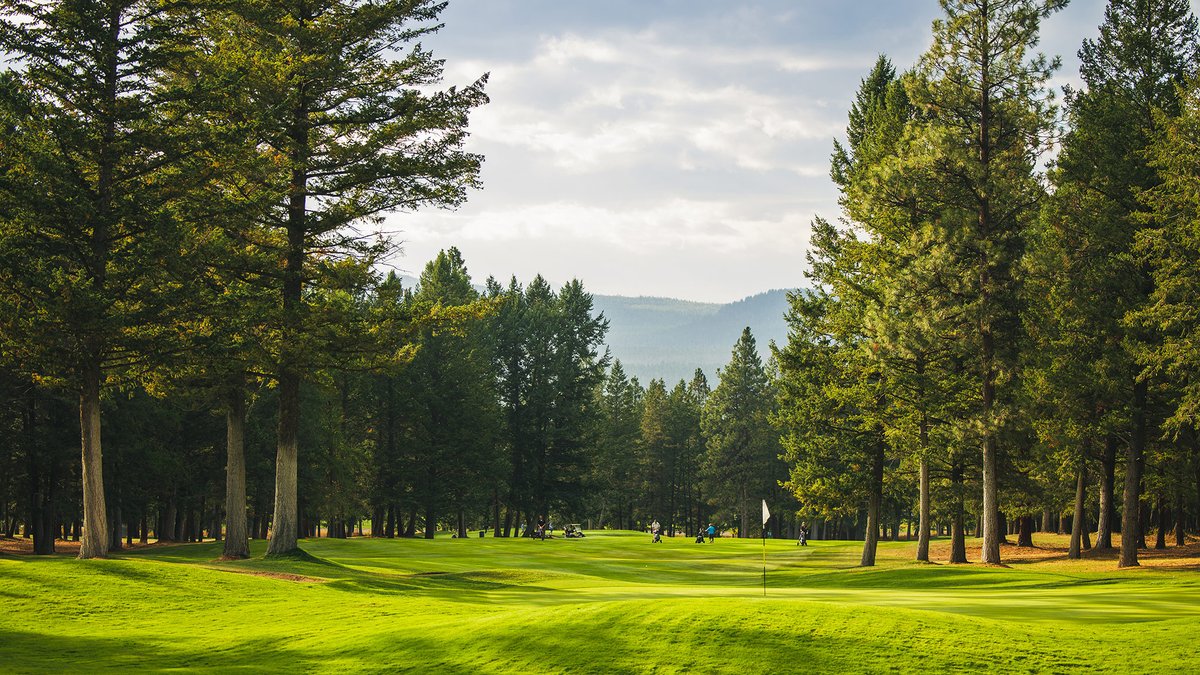 GolfInBC's tweet photo. Opening today in the lovely #kimberleycranbrook region:

⛳ Cranbrook Golf Course
⛳ @steugeneresort 
⛳ @WildstoneGolf 
📷 @TourismKmbrly/Colby Johannson

Who's ready for some mountain golf! #goflbc #explorebc #golfkimberleycrabrook https://t.co/rQQ4miV9Go