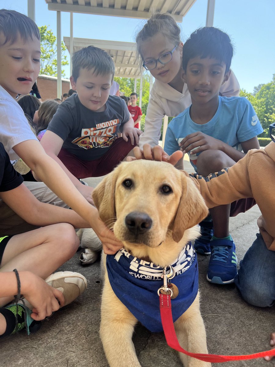 New Town Elementary School tweet media