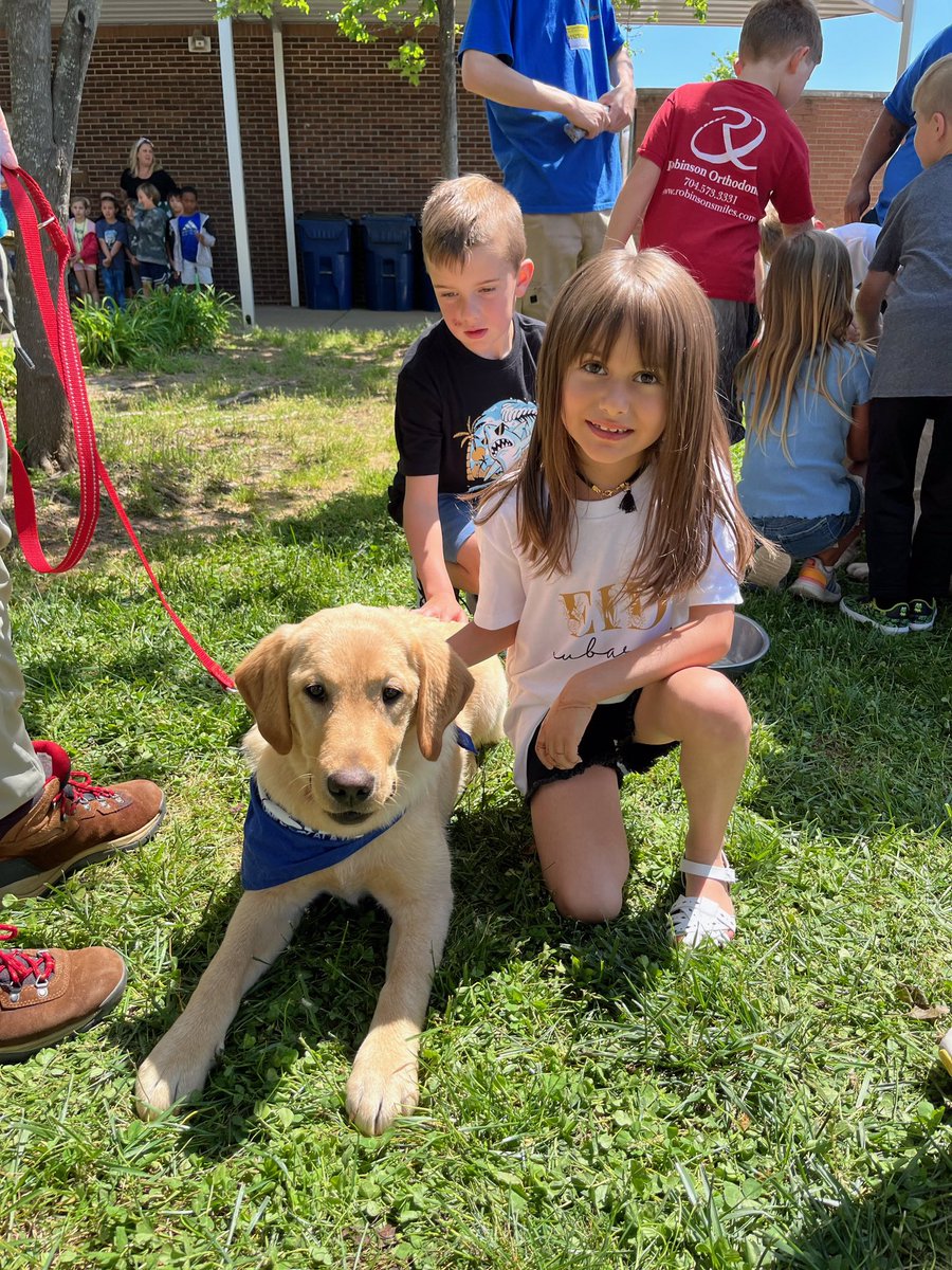 New Town Elementary School tweet media