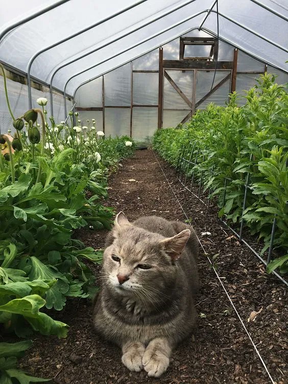 Postalesdecampo's tweet photo. #PostalesDeCampo📸 https://t.co/LBgUAKBLCi