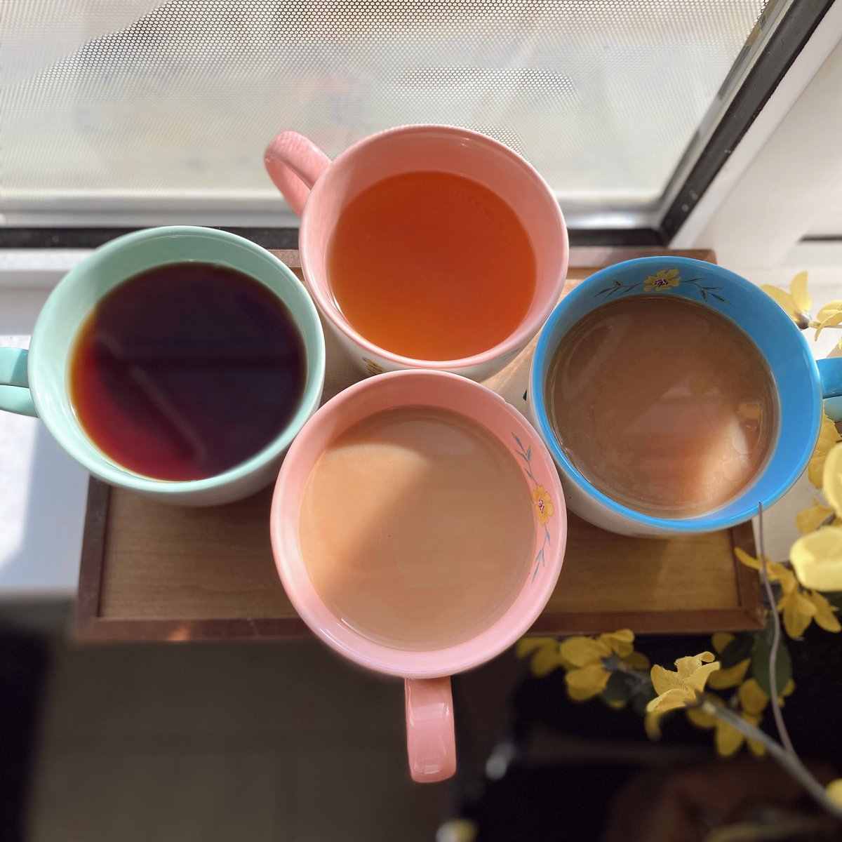 broightergold's tweet photo. ☕ℕ𝕒𝕥𝕚𝕠𝕟𝕒𝕝 𝕋𝕖𝕒 𝔻𝕒𝕪☕
A celebration that we can certainly participate in here in the office, its hard to beat a good cuppa tae🥰🫶

As you can see, we all take our tea different which would you chose?🤣
#NationalTeaDay #fooddays #foodcelebration #cuppatea #tealovers https://t.co/i24VVnulFZ
