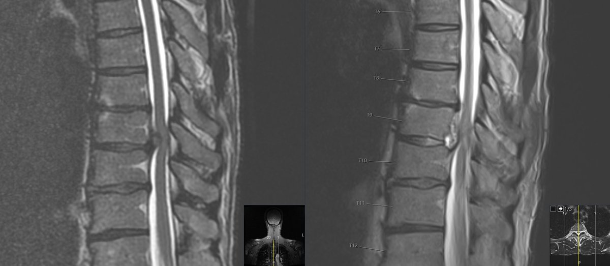 Matthew Gary tweet media
