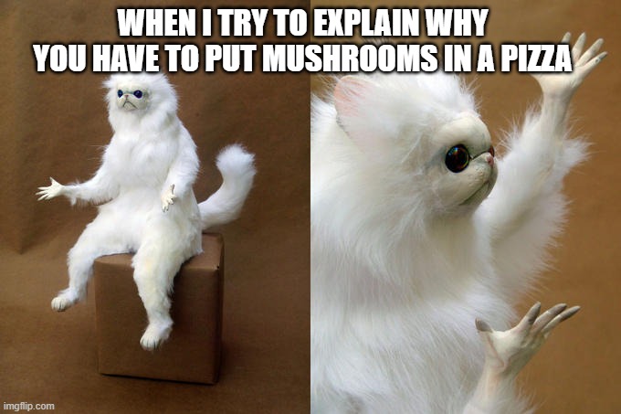 The best combo 🍕🍄 <a href="/BitcoinShrooms/">BitcoinShrooms</a>