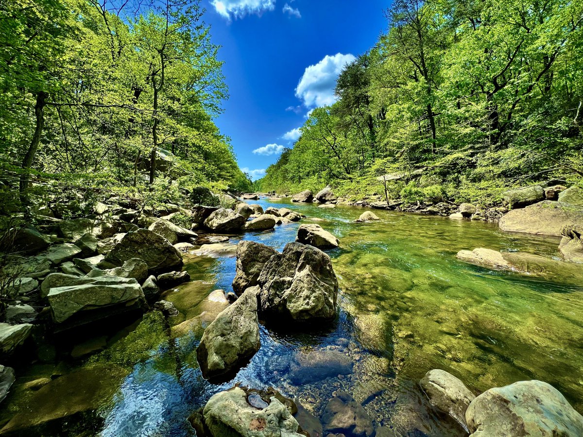 GSatUS's tweet photo. Earth Day is this weekend. Even if you don't have plans to volunteer, go out and appreciate the nature if you can. This is a beautiful planet we share with each other.
#earthday #weekend #volunteer #share #life #planet
π·: @JustinVizaro during the #letsgomicro campaign https://t.co/1m3712Ztde