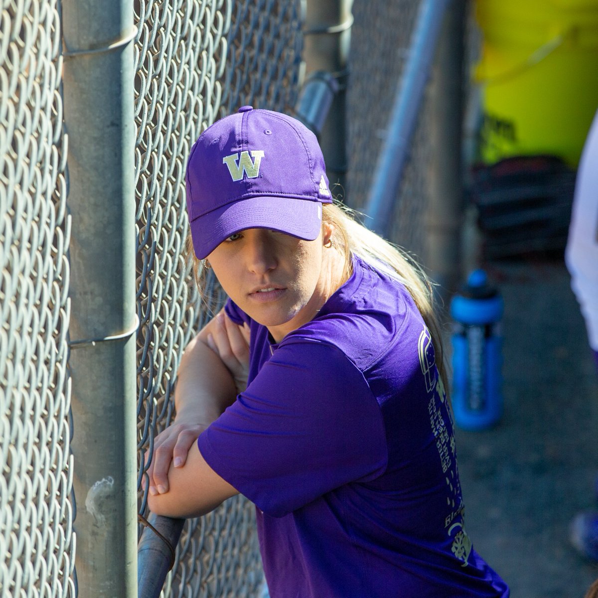 Washington Softball tweet media