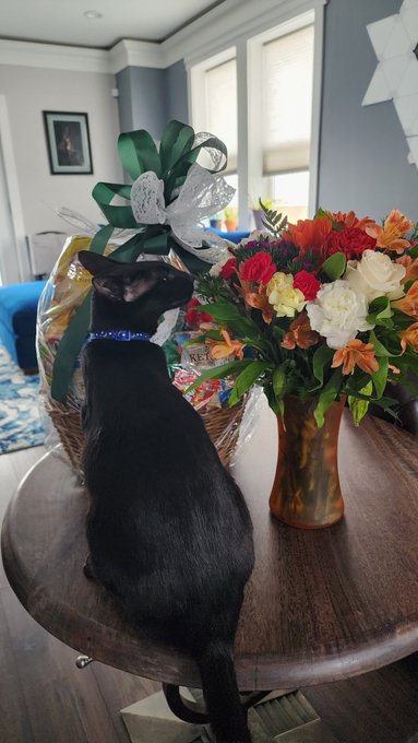 When your girlfriend hears you've had a bad day, you come home to flowers AND snacks. 🥰🥰 https://t.c<a href="/tag/realloyalfans"class="tags"><span>#realloyalfans</span></a>
