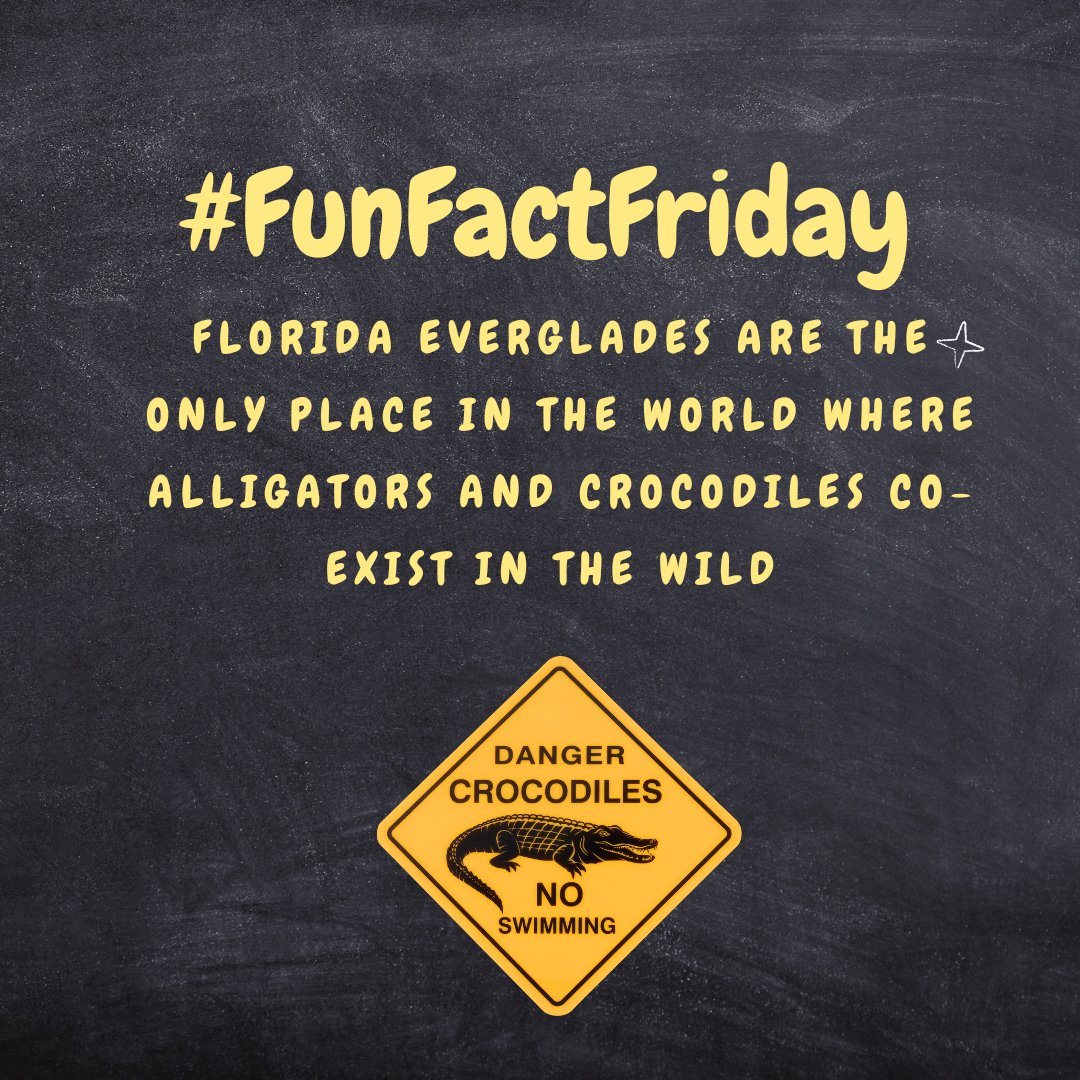 CoxSci's tweet photo. #FUNFACTFRIDAY! Did you know that the Florida Everglades is the only place in the world where alligators and crocodiles coexist in the wild? It is one of the most biologically diverse areas in the United States. #CoxScienceCenterandAquarium #OpenEveryMindtoScience https://t.co/R2yz6lThL0