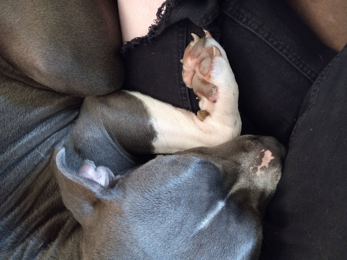 reallyhighc's tweet image. ...please be okay 😪