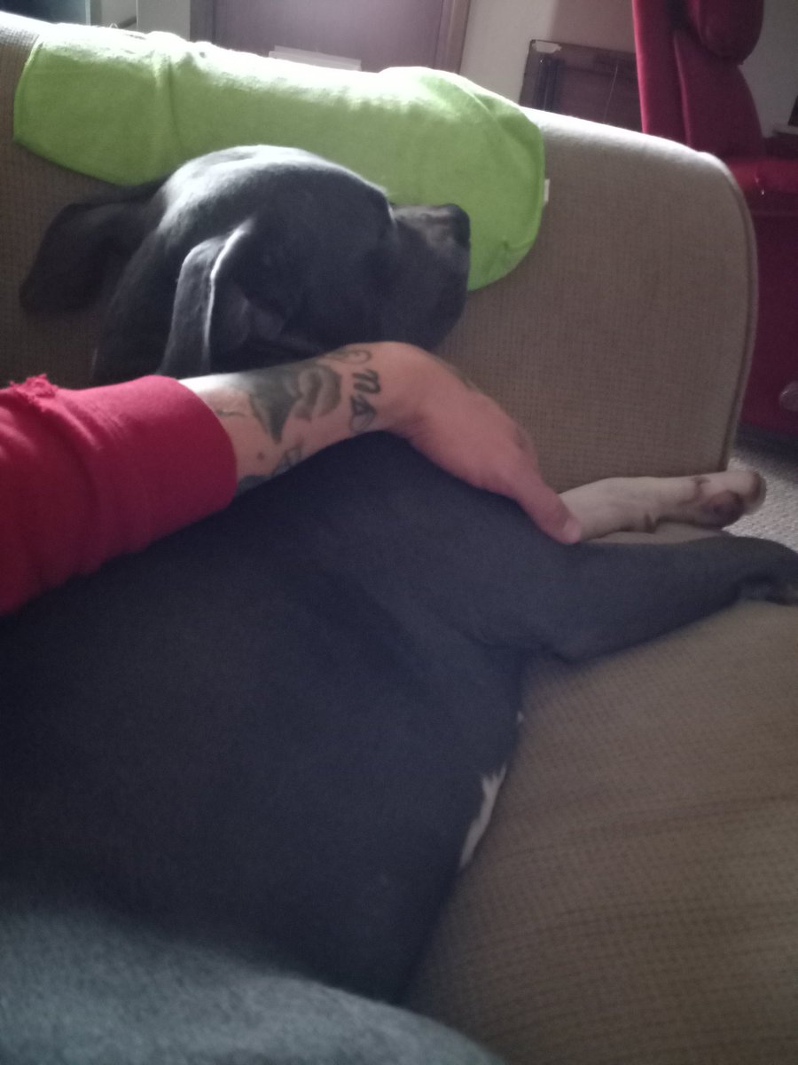 reallyhighc's tweet image. ...please be okay 😪