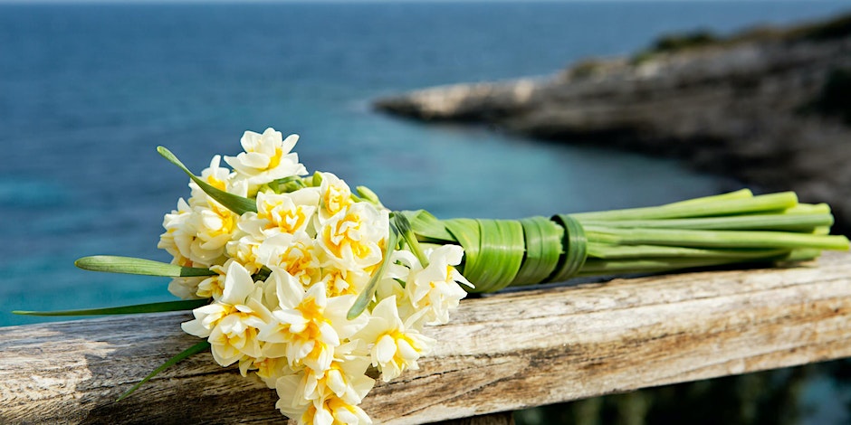 Danish-American Chamber of Commerce tweet media