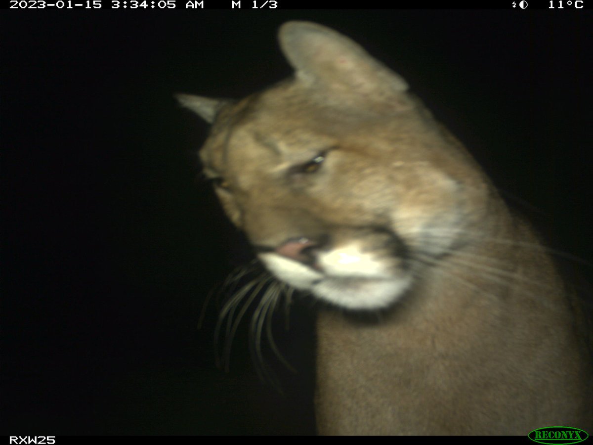 Marcella J. Kelly tweet media