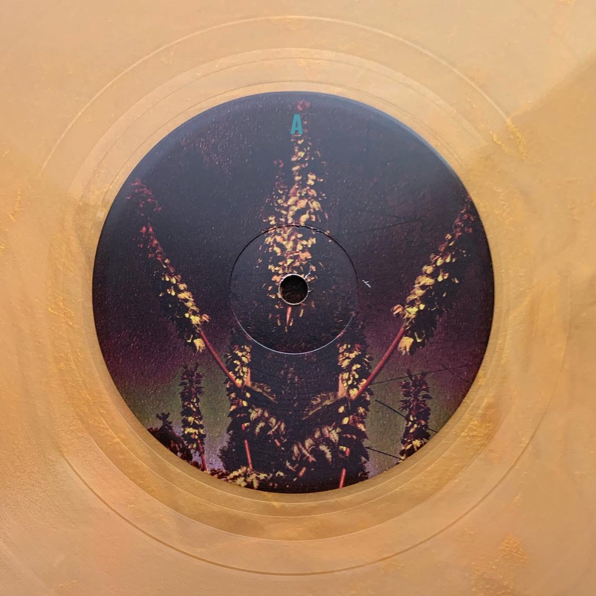 Quin Kirchner tweet media