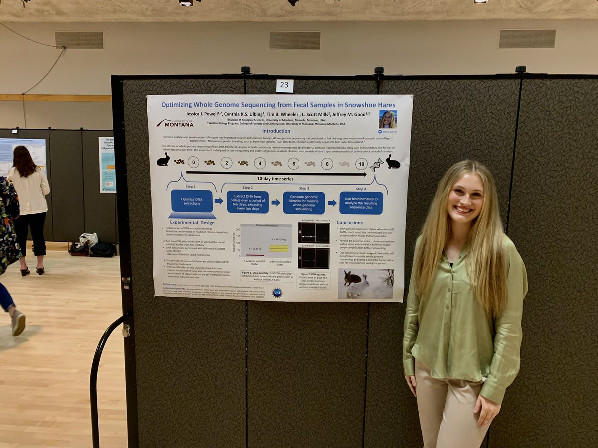 jess_jpowell's tweet photo. Come see me at UMCUR 3-4 in the UC ballroom! @umontana https://t.co/y5CqGi7dIk