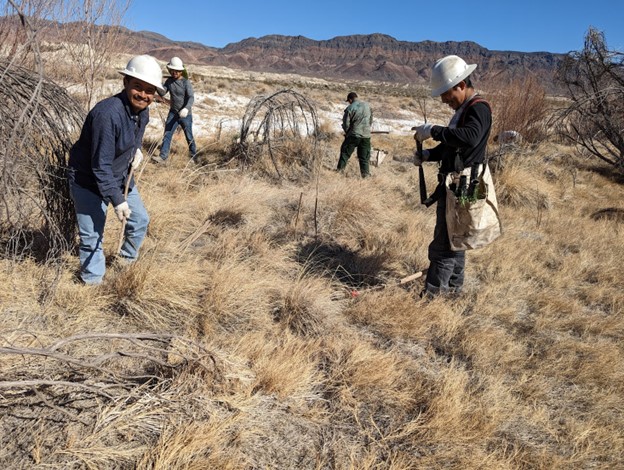 BLMca's tweet photo. 🌿In collaboration with partners, the Amargosa Wild and Scenic River Area has had extensive restoration work completed, removing Tamarisk, a non-native invasive tree, and thousands of plantings of native seeds and trees! 
To learn more: https://t.co/bkCtz1aBmy
#CANativePlantWeek https://t.co/UBgaz5o9Ub