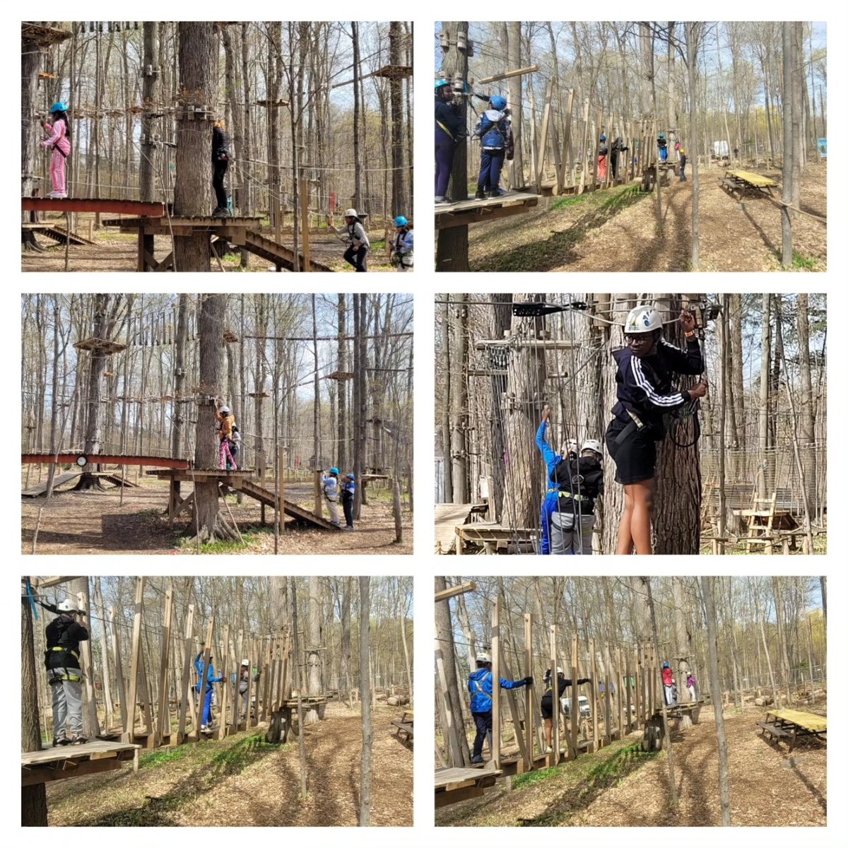 campionchamps's tweet photo. The Grade 4 and Grade 7 classes had a great time Tree Top Trekking. Lots of fresh air, balancing and screaming!
#treetoptrekkingstouffville #treetop #treetoptrekking https://t.co/Z7vl9wIvgK