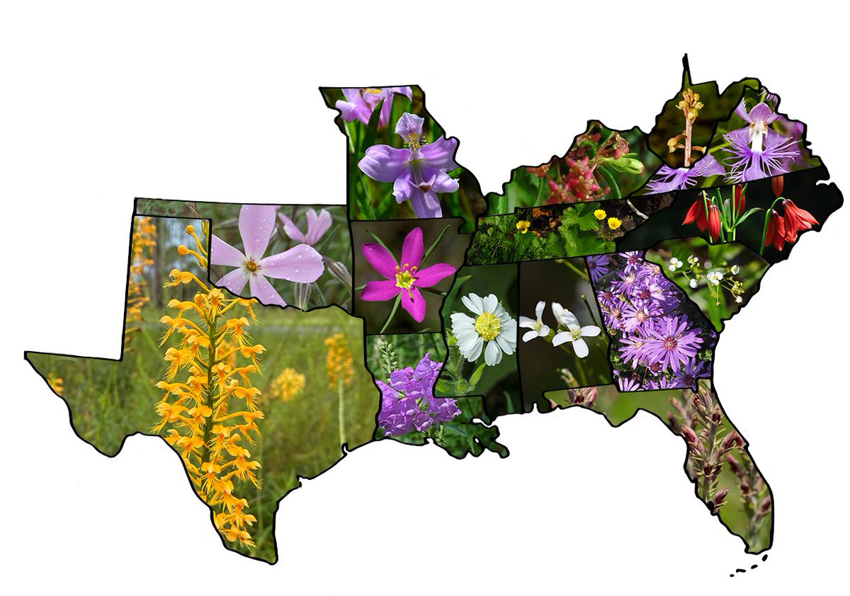 Register and join us virtually May 8 for the presentation of the nation's first ever Regional Species of Greatest Conservation Need list for plants! 🌿

Follow the link to register.  Registration is required. 

#saveplants #loveplants #botany

us06web.zoom.us/meeting/regist…