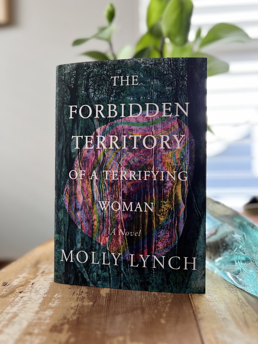 Catapult tweet media