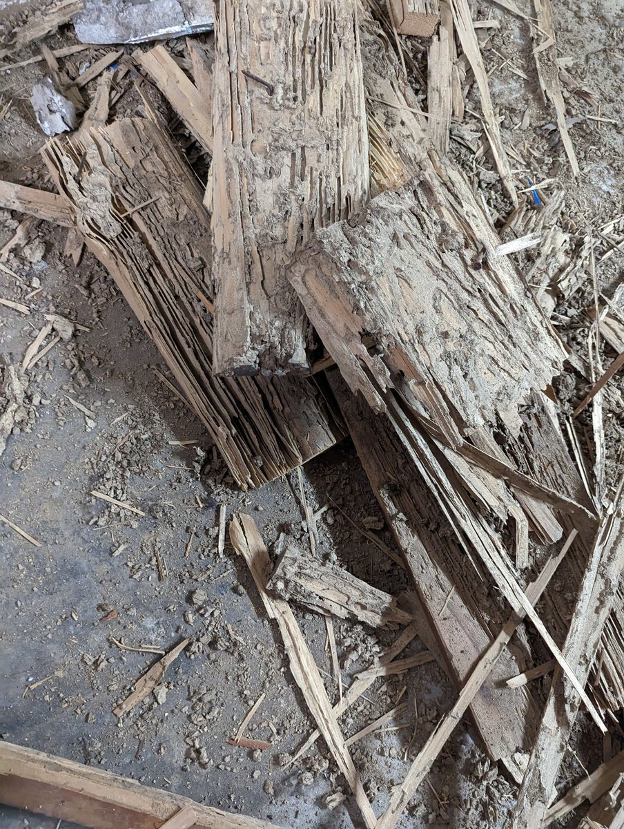 Termite damage on 100+ year old house main support beam