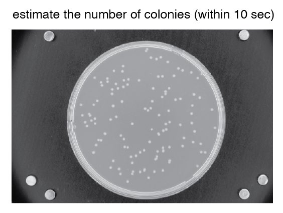 So you call yourself a microbiologist … quick Friday challenge (with surprising results). In 10sec, eyeball the colony number 🧵🧵🧵