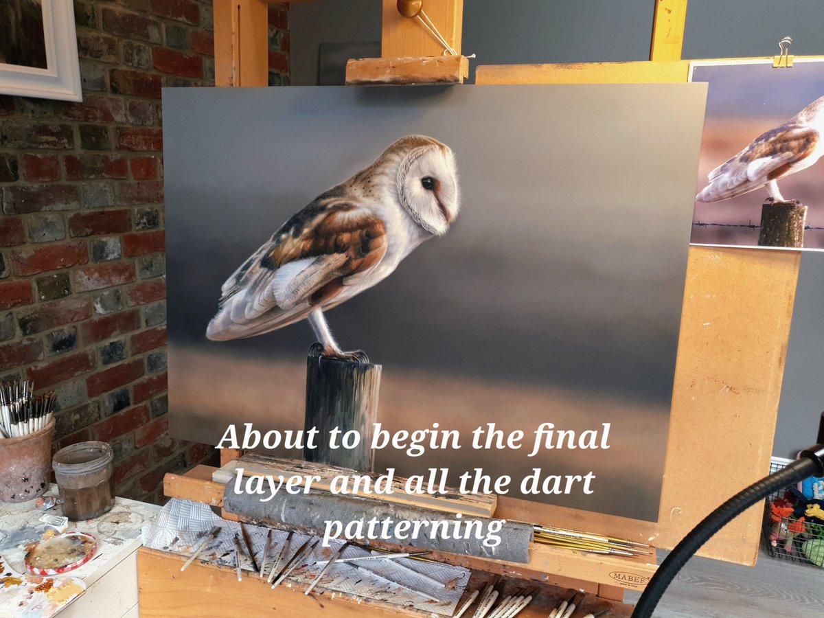 EdenPortraits's tweet photo. Just about to begin the final layer of this second barn owl. This is a much bigger piece, which means I can really get stuck in with all the dart patterning throughout the plumage. I'm becoming quite obsessed with owls! 

Photo Ref with huge thanks to @steve34owen 
 #Barnowl #owl https://t.co/zMwioZrZ3v