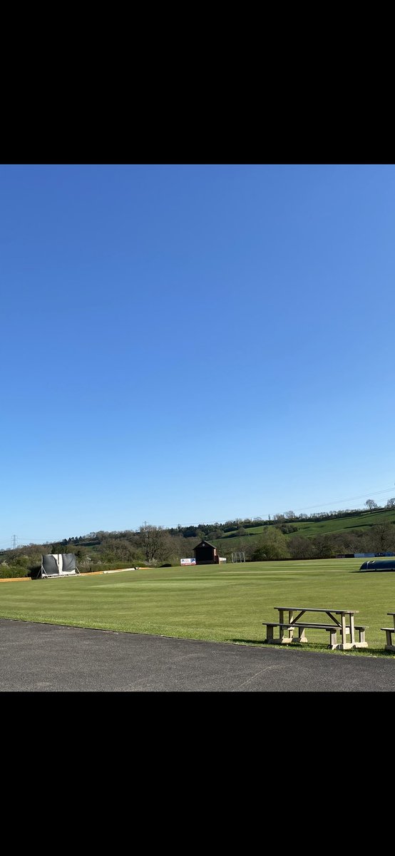 mikey allen tweet media