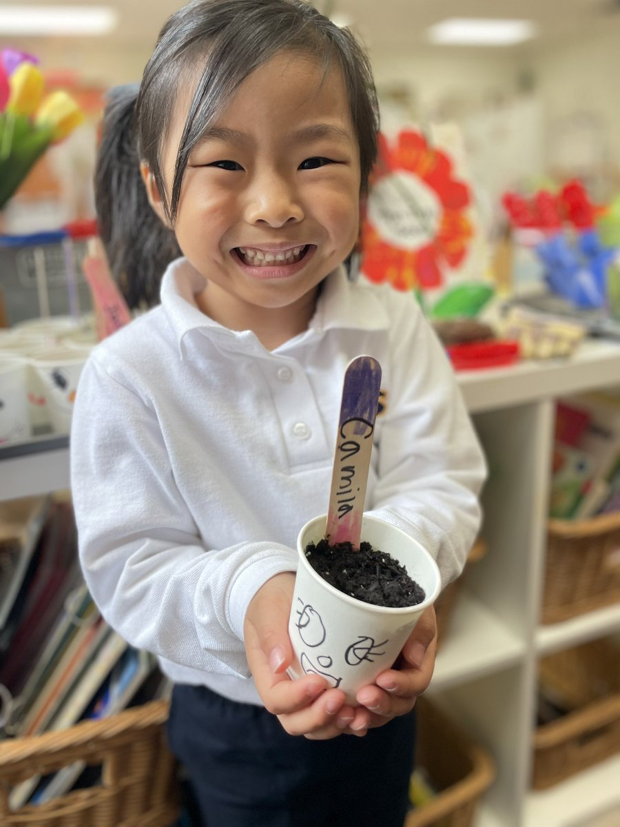 HTS_Kindies's tweet photo. Happy Friday!🗓️☀️ Stay tuned for our     growing grass heads thanks to our @HTSEcoTeam from #StudentLifeDay ! 🪴#EarthWeek #SLD #GrowingInquiry #BetterTogether❤️ @ConnieRanieri @HTSRichmondHill https://t.co/4xGEcpn8OD