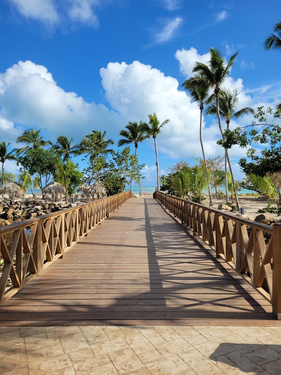 AmandaAdey2's tweet photo. Paradise #PuntaCana https://t.co/w1DwDV4y8h