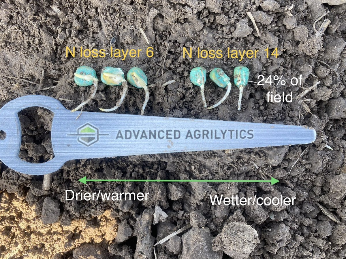 Seth Logan tweet media