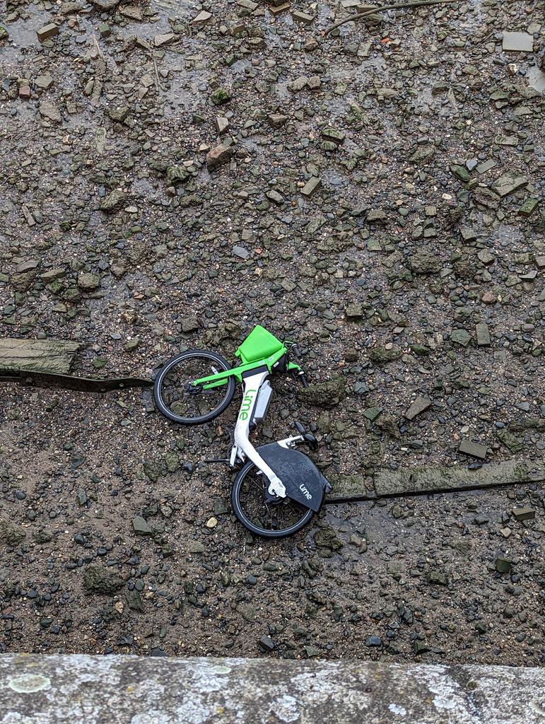 Tiina Erameri tweet media