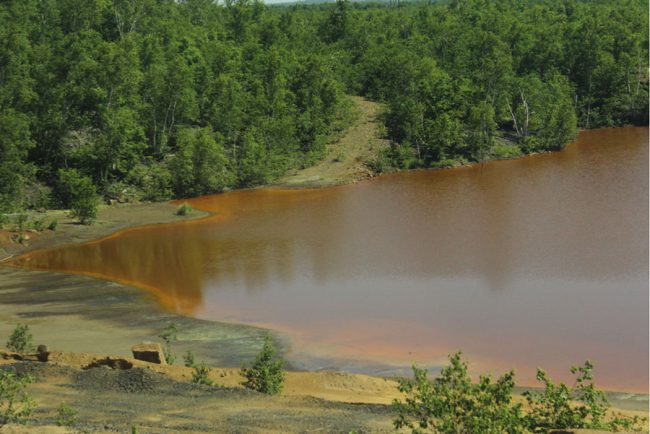 UofTEngineering's tweet photo. #UofTEngineering @ChemEng_UofT researchers are teaming up with the mining industry to find new ways to recover nickel from tailings ponds using microorganisms 🏞💧: https://t.co/SBXlBekM74 #EarthDay #E4TW https://t.co/qKeOfzkRbk