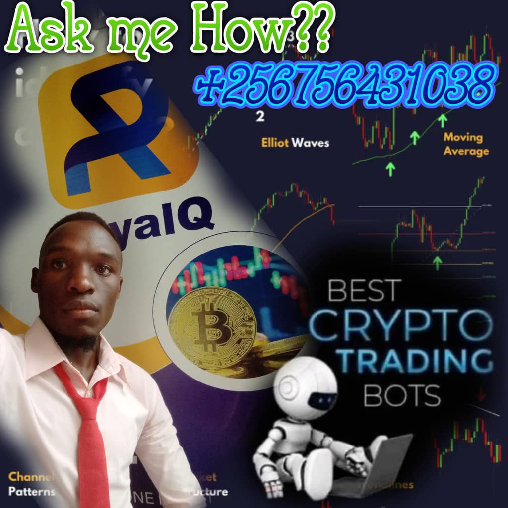 Let's make money together
Royal Q