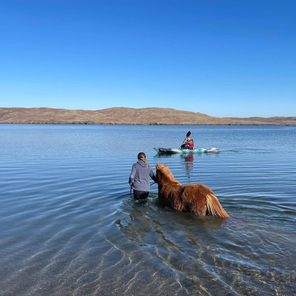 James Morton tweet media