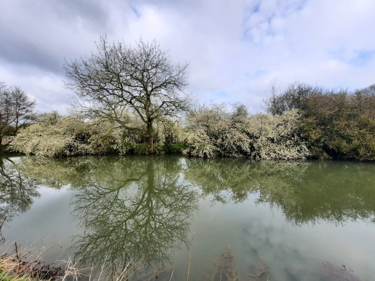 Here's the witch's truth of it, when the land has pulled on its white wedding gown already pregnant with swollen summer, most feel a rising carnal tide. Dalliance and desire are abroad.  No wonder April is when rivers' Red Maidens entrap lovers. – #EmilyBanting, 1982 #Witchcraft