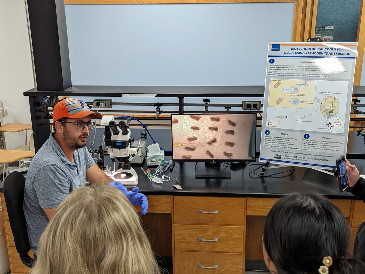 UFCitrusBugs's tweet image. Thank you @DemardEmilie and @Bugging_Me_Out for your help today talking all things entomology with our STEM visitors from @PolkState