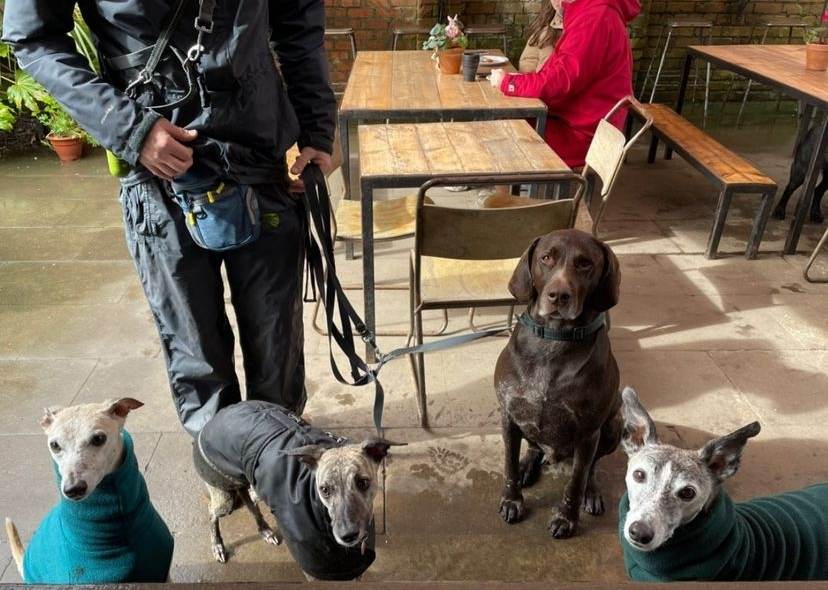 SecretGardenCF's tweet photo. "4 oat flat whites please, the human is paying..."
We love meeting your 4-legged friends. Bring them in to see us today! We have treats behind the counter for doggies and humans. #Cardiffdogs #cardiffcafe #Cardiff https://t.co/69KIu7ecWW
