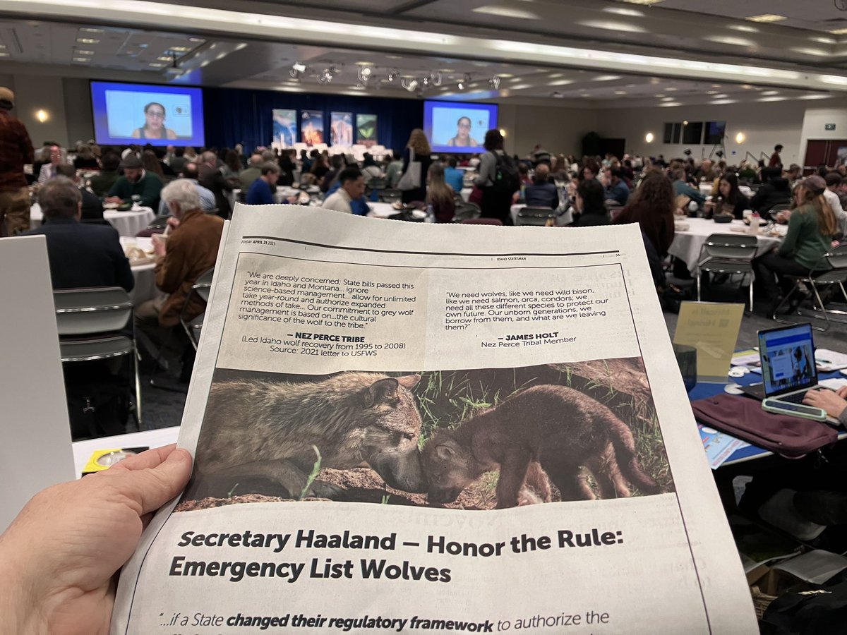 Our full page ad in the Idaho papers today. More digital ones online! At the #SEJ2023 conference waiting now for Secretary Deb Haaland to answer questions from a roomful of environmental journalists 🐺 #RelistWolves  #RelistWolvesNow