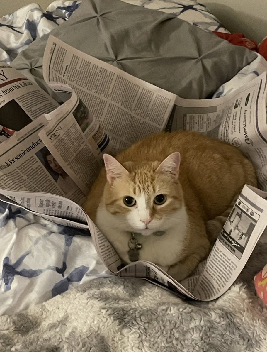 Mica Soellner tweet media