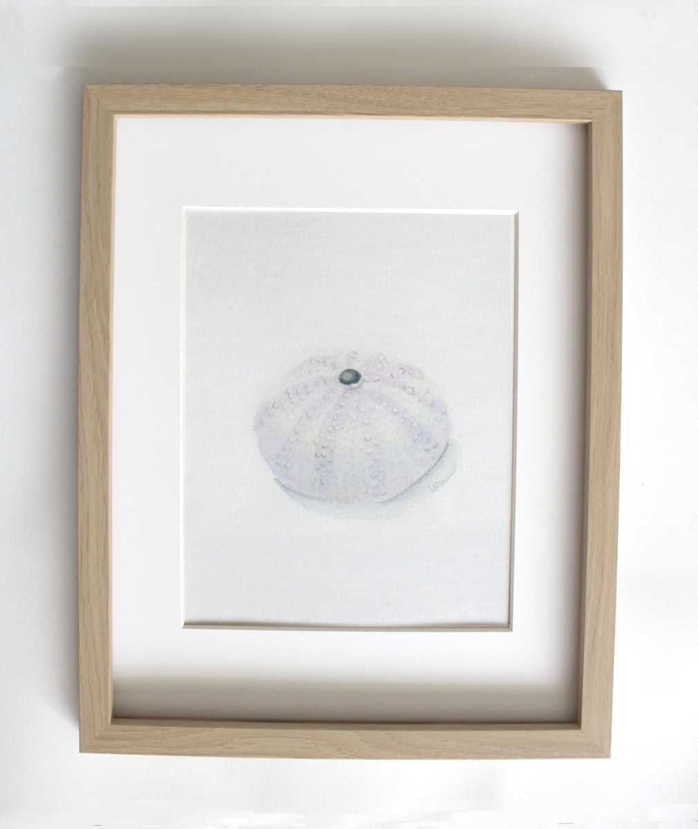 LisSycamoreWood's tweet photo. Sea Urchin Sell :: Watercolor Print :: Perfect for the Beach House!
#sealife #seaurchin #seashell #shell #watercolor #artprint #beach #shore #beachhouse #shorehouse #beachdecor #wallart #neutral #minimal #art #SMILEtt23 #shopsmall #supportsmallbusiness 
https://t.co/qVvTbzkS2J https://t.co/gN5XOui2w5