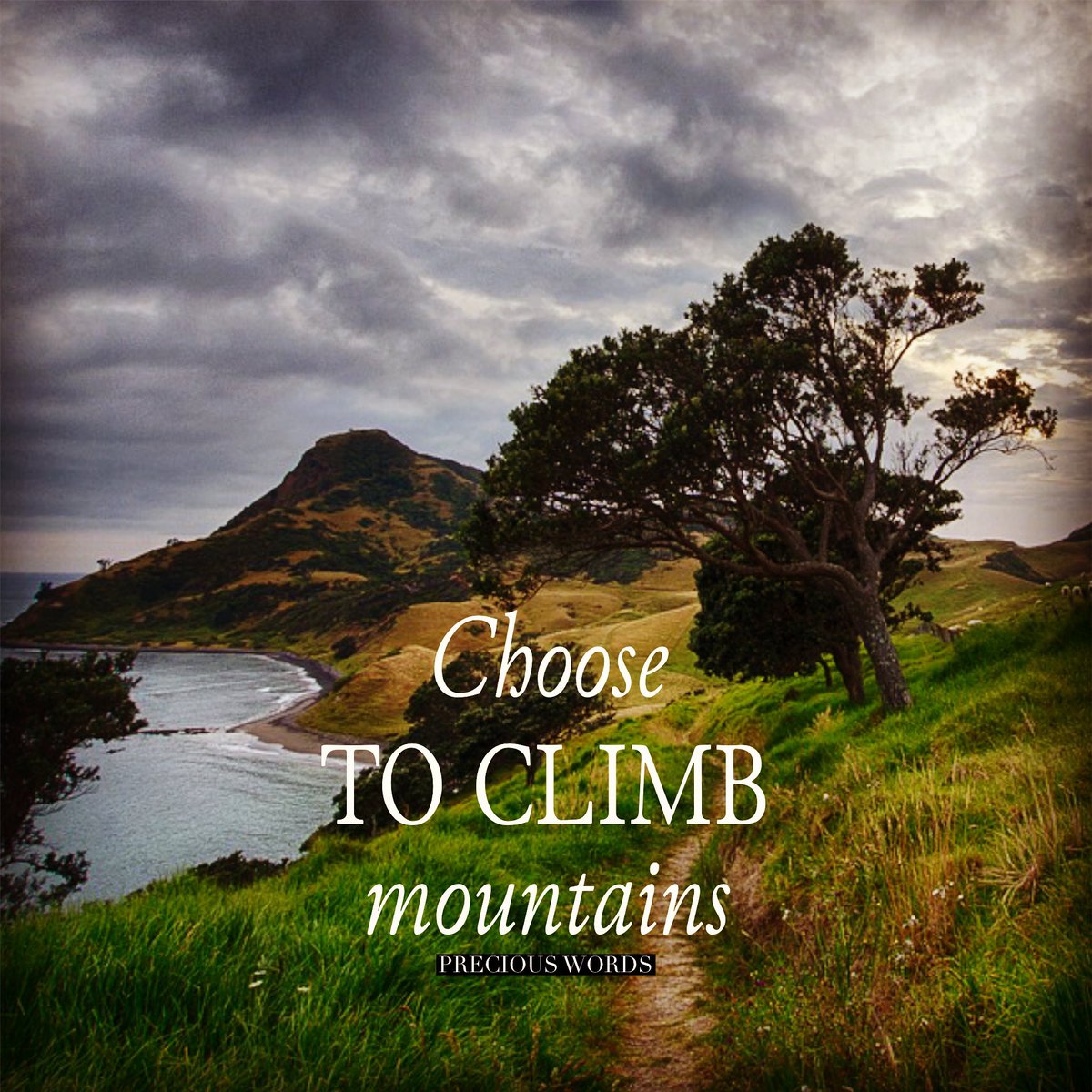 PreciousWordsie's tweet photo. Choose to climb mountains, get out of your comfort zone and enjoy everything life has to offer.
#enjoylife #leaveyourcomfortzone #choosetoexplore #preciousmoments #preciouswordsoflife #preciouswords https://t.co/iJ9xDFFiWF