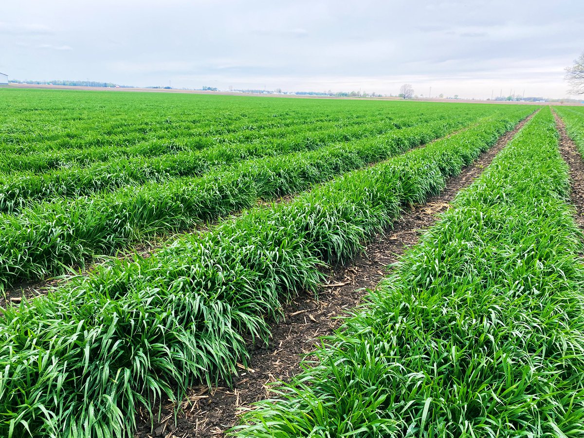 Jason Mauck tweet media