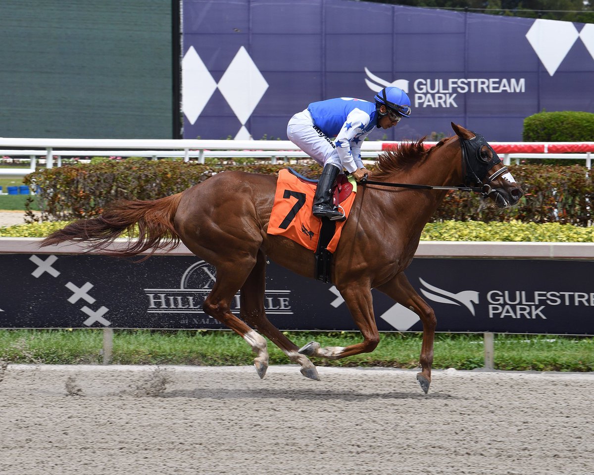 Gulfstream Park on Twitter "Wind Nine takes race 5 under jockey